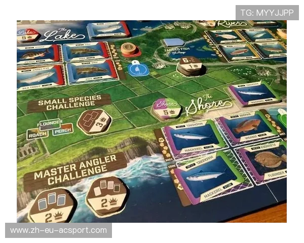 《双人互动桌游推荐既能结缘又能竞技的趣味游戏》